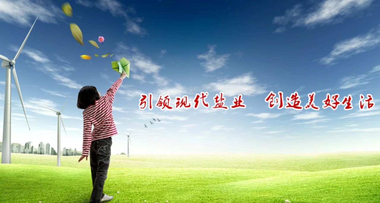 中鹽集團丨6年相伴，第五期合作開工！