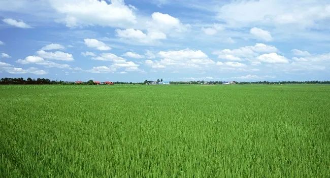 史丹利集團丨榮幸之至，共同前行